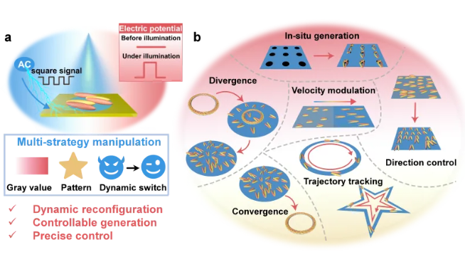 液晶材料中光調(diào)控孤子的動(dòng)力學(xué)研究