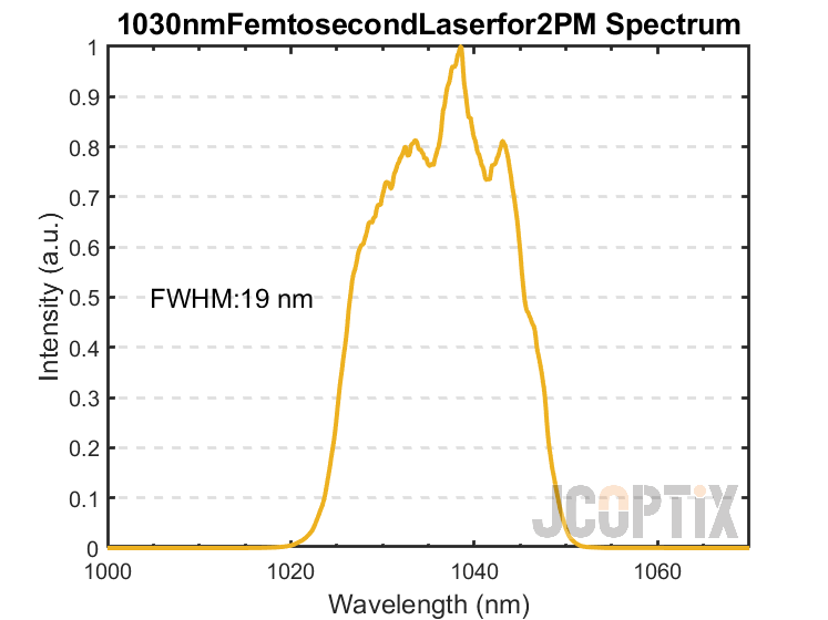 1030nmFemtosecondLaserfor2PM